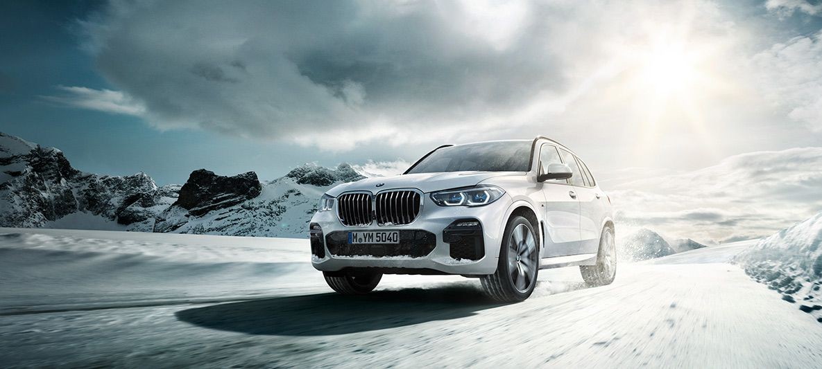 photo_in_container28299