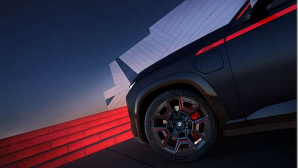 Погляд, сповнений сміливого характеру.