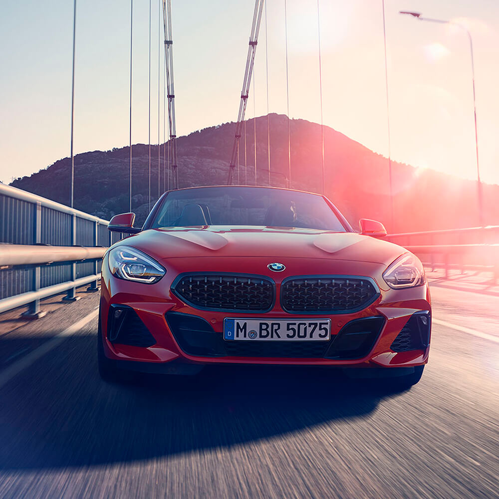 vertical_gallery_img